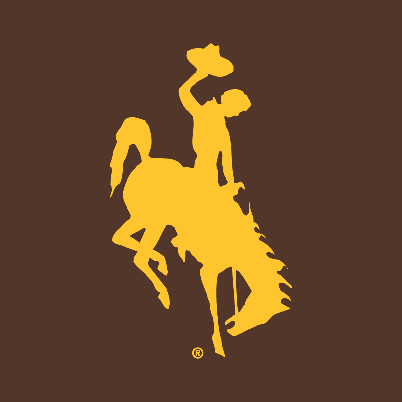 Wyoming Cowboys 2006-Pres Alternate Logo t shirts DIY iron ons v2